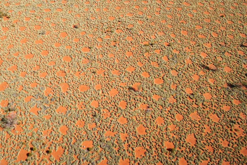 Mystery over fairy circles appearing in African desert finally solved