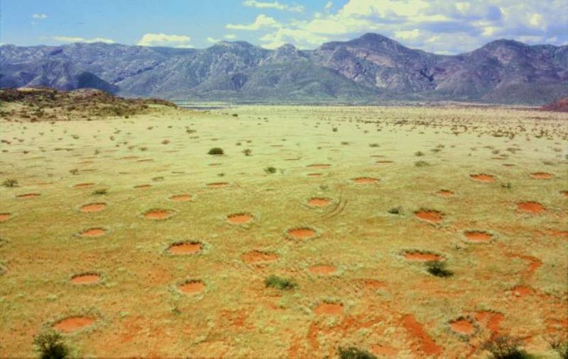 Mystery over fairy circles appearing in African desert finally solved