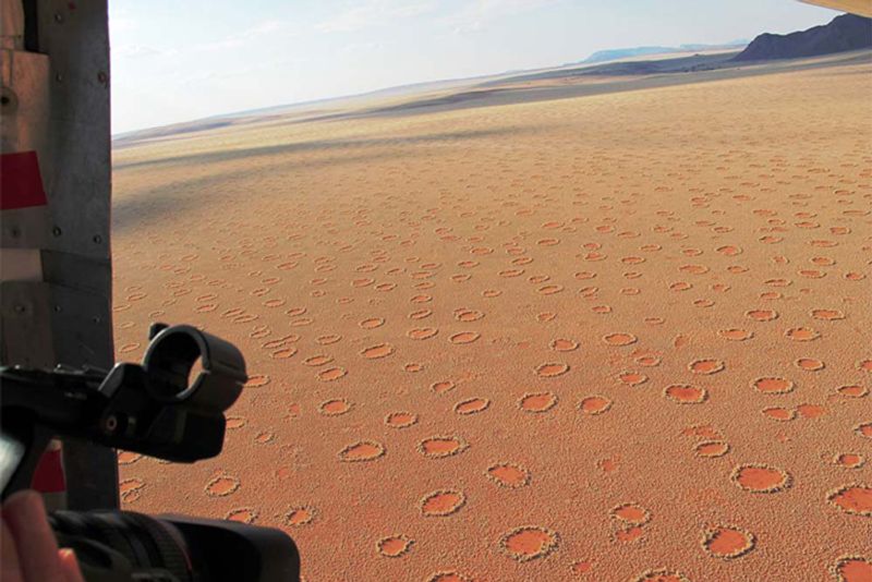 Mystery over fairy circles appearing in African desert finally solved