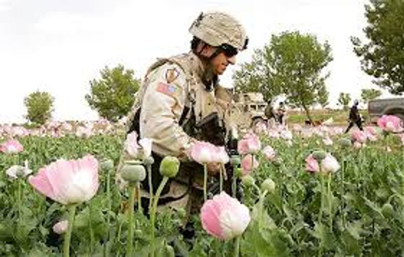 Heroin labs of Taliban that Even America Cannot Stop flourishing