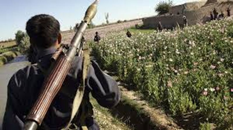 Heroin labs of Taliban that Even America Cannot Stop flourishing