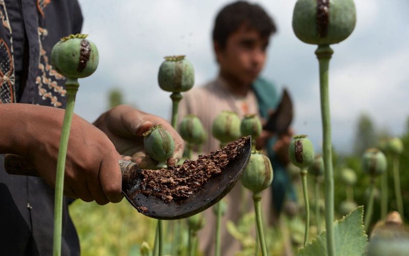 Heroin labs of Taliban that Even America Cannot Stop flourishing