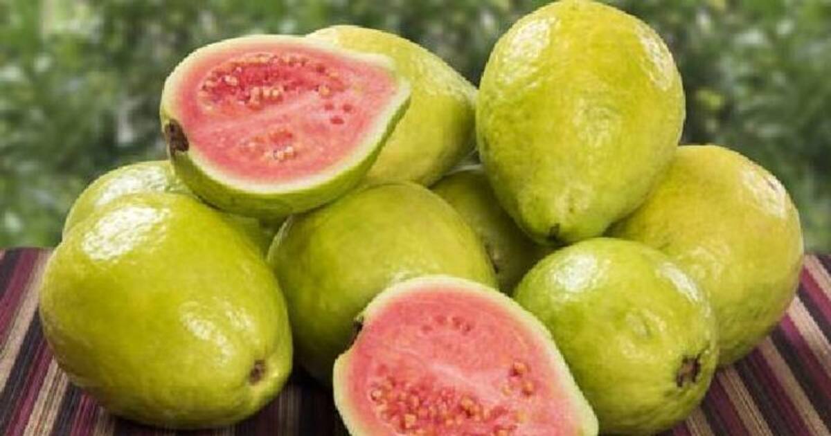 Here’s why we should eat guavas often!