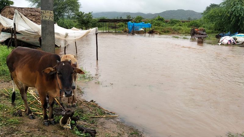 Heavy Rain in Yadgir Districtgrg