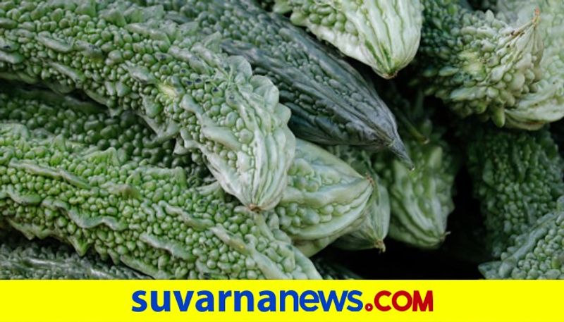 Magical health benefits of bitter guard good for intestine
