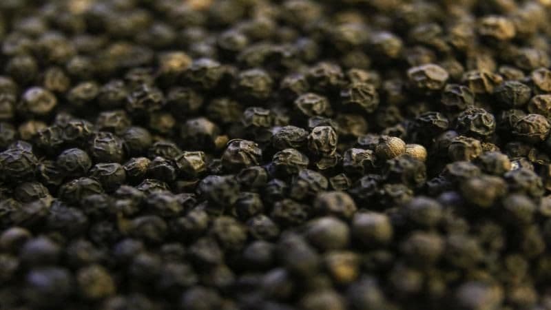 How to check Black pepper adulteration here tips to find out