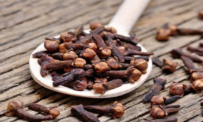 Tips To Protect Rice From Insects specially during monsoon