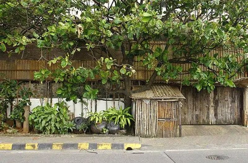 Rekha
Rekha has a beautiful mansion in Bandra. Her home is protected by massive bamboo walls that makes it impossible for the bystander to catch a glimpse of what's happening inside.