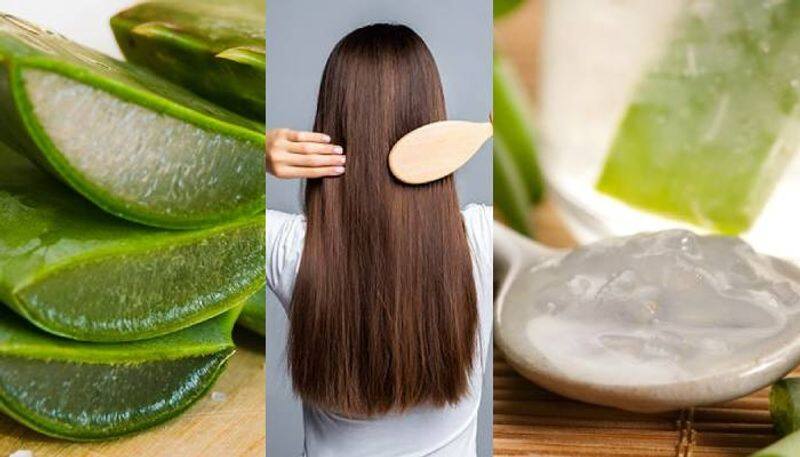 Home Remedies to Prevent Hair Fall