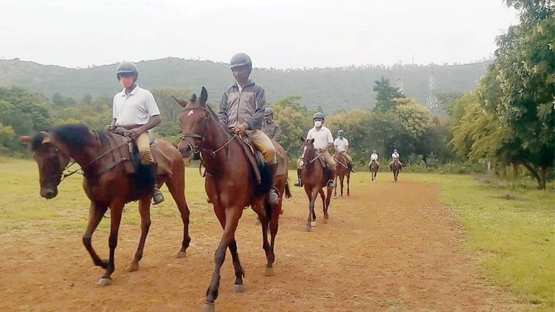 Mysuru Dasara: Police train horses for Jamboo Savari, put them on special diet -ymn