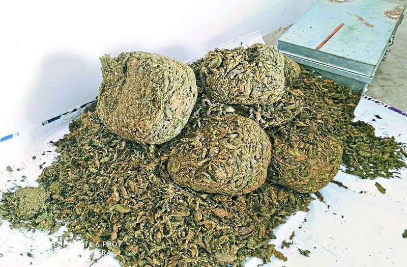 delhi police sells seized ganja suspended