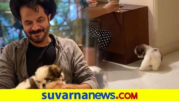 Bollywood anil kapoor rhea kapoor welcome new pet dog russel crowe kapoor vcs Bollywood anil kapoor rhea kapoor welcome new pet dog russel crowe kapoor vcs