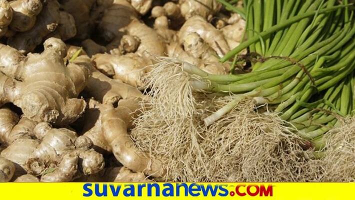 Here Is The Solution For ginger fungus snr Here Is The Solution For ginger fungus snr