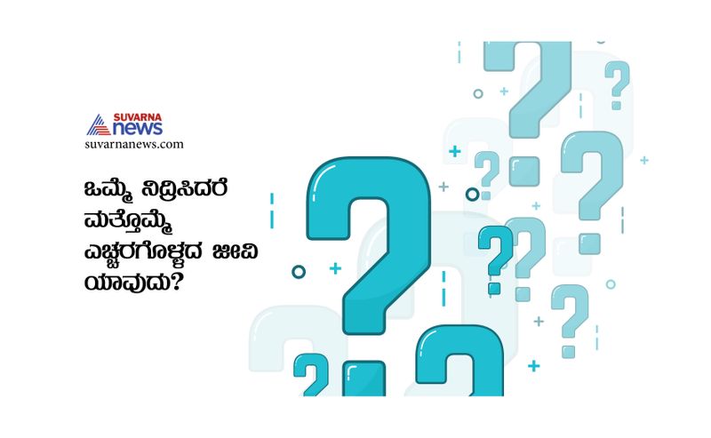 Tricky questions in Kannada being asked in IAS interview