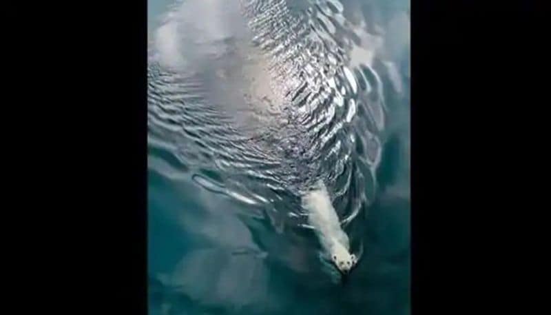 See such amazing picture taken with drone camera KPZ