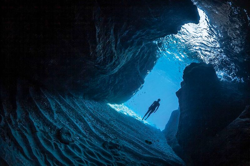 underwater photography through your lens winners 2020