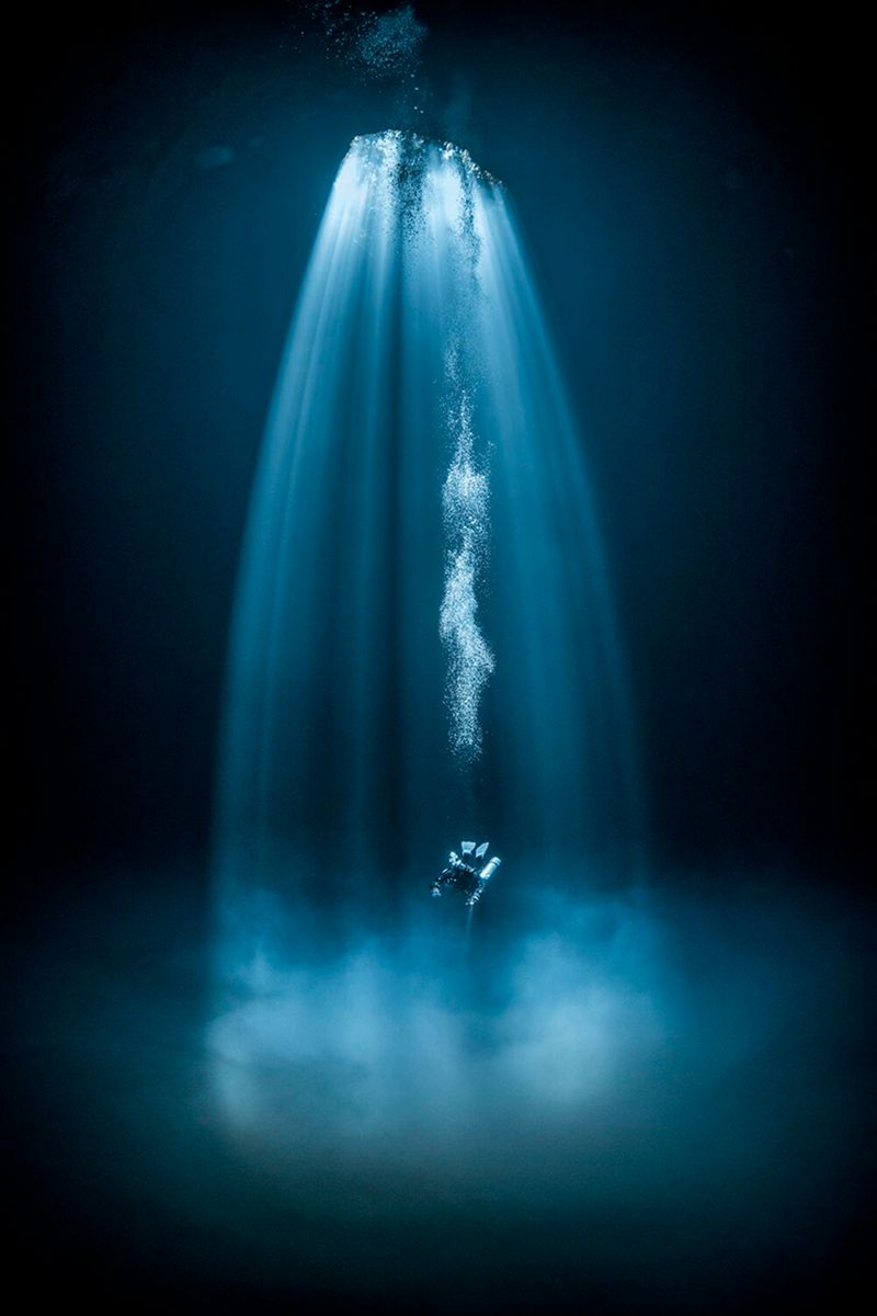 underwater photography through your lens winners 2020