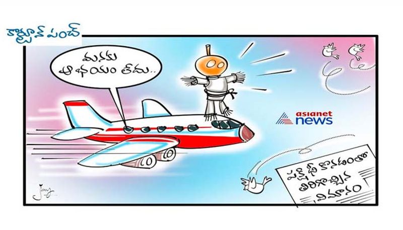 Bird hit forces Indigo flight