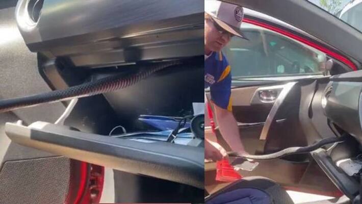Viral video of Snake Hitches Ride With Woman In Glove Box Viral video of Snake Hitches Ride With Woman In Glove Box