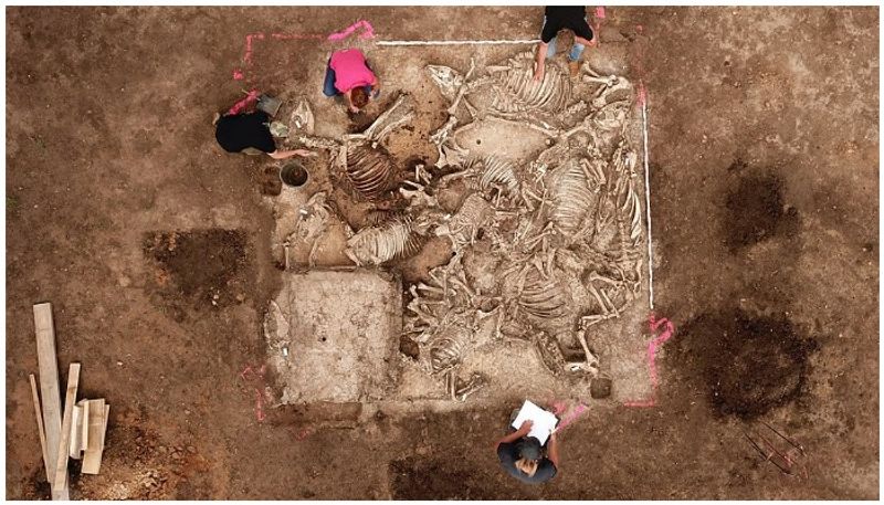 German archaeology site chicken farm with one tomb and six women dead body remains