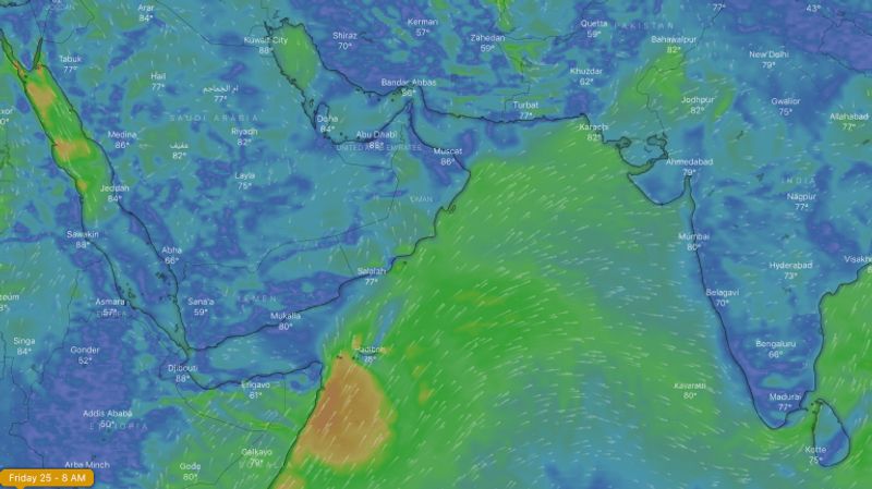 From Yemen to India Onon flew 3,500 km in two days
