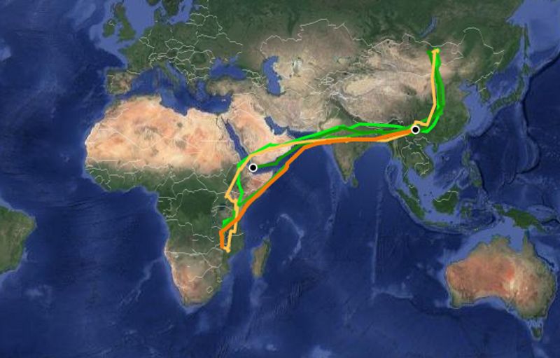 From Yemen to India Onon flew 3,500 km in two days
