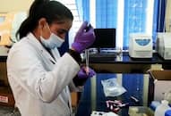 Equine Biotech, startup incubated at IISc,  develops indigenous RT-PCR diagnostic kit