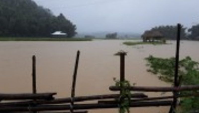 Assam flood 3.17 lakh people effected in 13 districts bam