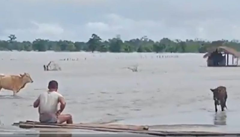 Assam flood 3.17 lakh people effected in 13 districts bam