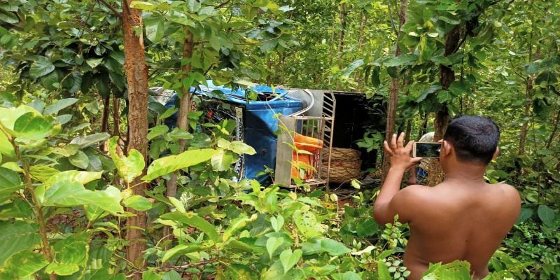 Wild Elephant looth vegetable in Jangal road at Midnapore ASB