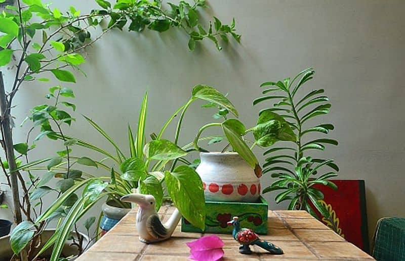 how to clean pots in garden?