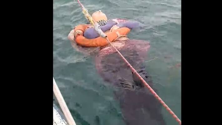 watch viral video of a woman missing 2 years ago found floating at sea bsm watch viral video of a woman missing 2 years ago found floating at sea bsm
