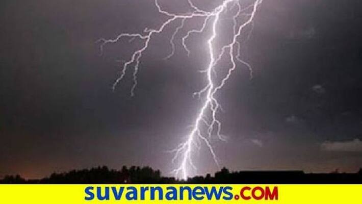 farmer sheeps died from lightning strike snr farmer sheeps died from lightning strike snr