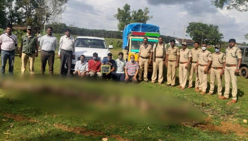 5 caught for killing 33 monkeys in Karnataka -ymn