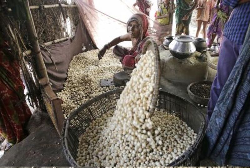 दरभंगा से लेकर कटिहार तक के गांवों में मखाना की खेती करने वाले लोगों से मिले। मिथिला विश्वविद्यालय जाकर मखाना पर हुए शोध की फाइलों को खंगाली। किसानों से संपर्क किए। किसानों का ग्रुप क्रिएट किए और वर्ष 2004 में बोरिंग रोड में दफ्तर खोल शक्ति सुधा नाम से काम शुरू कर दिया।
