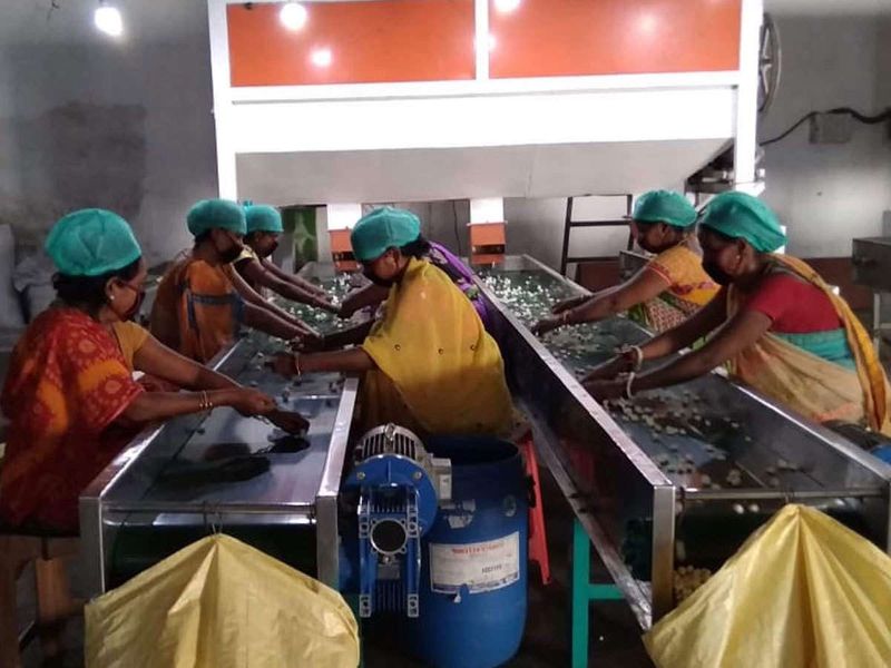 किसानों को प्रति एकड़ एक लाख रुपए का मुनाफा हो रहा है। 32 उत्पादकों से शुरू यह सफर वर्तमान समय में 12000 तक पहुंच गया है। शक्ति सुधा इंडस्ट्रीज के प्रोडक्ट 15 राज्यों एवं पांच देशों में उपलब्ध हैं।
