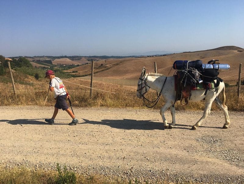 From Italy to England 11 year old boy and his father walked 2735 km to see his grandmother