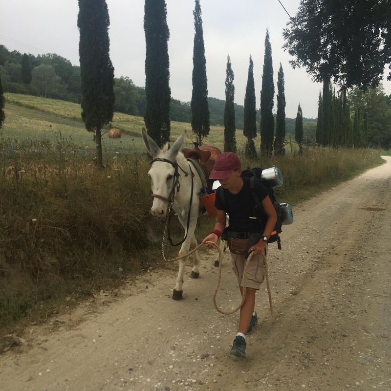From Italy to England 11 year old boy and his father walked 2735 km to see his grandmother