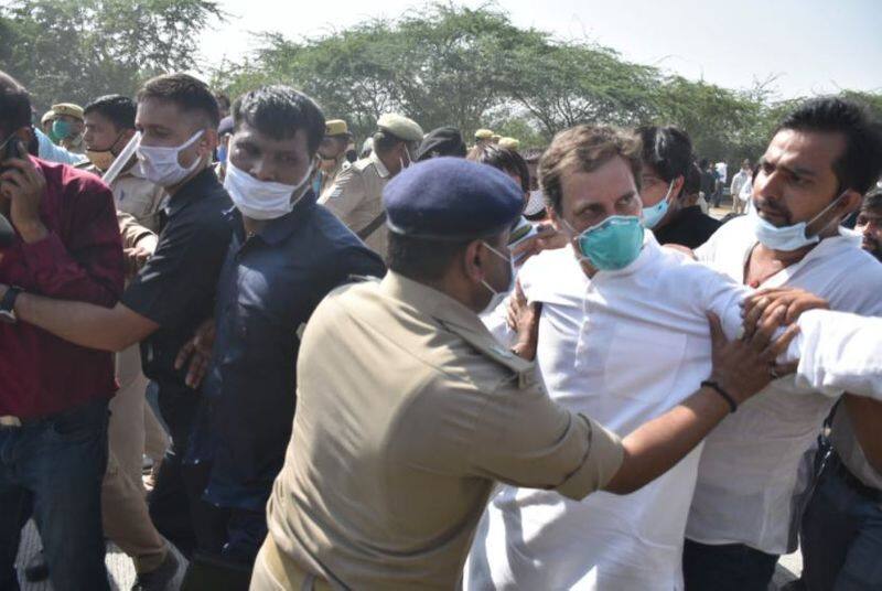 Hathras gangrape: Rahul Gandhi arrested