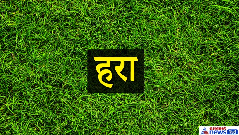 हरा रंग
ये लोग डाउन टू अर्थ स्वभाव वाले होते हैं। ये लोग किसी को भी दुखी नहीं देख पाते। यदि इनके आसपास कोई दुखी व्यक्ति होता है तो उसके दुख बांटने का प्रयास करते हैं। ये बहुत शांतिप्रिय इंसान होते हैं। जिस प्रकार हरा रंग आंखों को सुखद अहसास देता है, ठीक वैसा ही स्वभाव हरा रंग पसंद करने वाला भी होता है। ये लोग इनके प्रिय जनों के बीच काफी महत्व रखते हैं।
