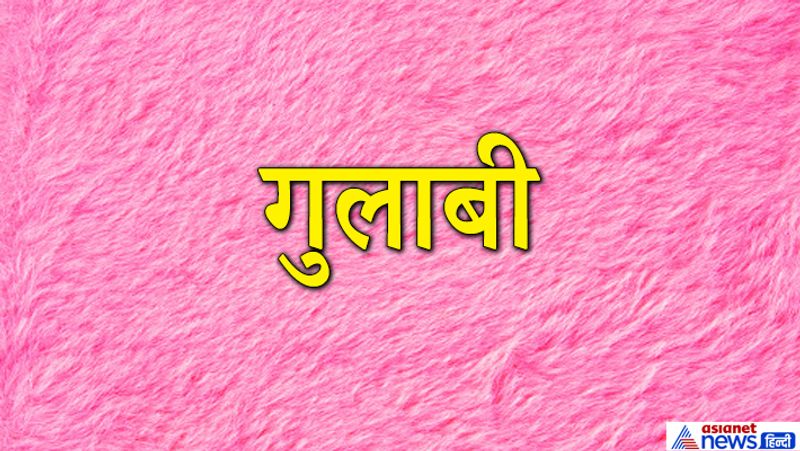 गुलाबी
ये लोग अपने जीवन साथी के प्रति काफी भावुक होते हैं। इनके मित्रों की संख्या भी अधिक रहती हैं। इनका स्वभाव काफी रोमांटिक होता है। ये लोग दूसरों के गुणों पर अधिक ध्यान देते हैं और बुराइयों को अधिकतर नजरअंदाज करते हैं। ये लोग कभी-कभी अधिक शर्मीले भी हो जाते हैं। सुंदरता की ओर अधिक आकर्षित होते हैं। इन्हें हिंसा पसंद नहीं होती है।