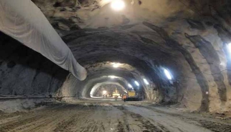 from 40000 rs kilo mushroom to siddu pm modis menu for atal tunnel inauguration bsm