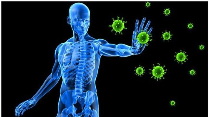 healthy drinks boost immune system healthy drinks boost immune system