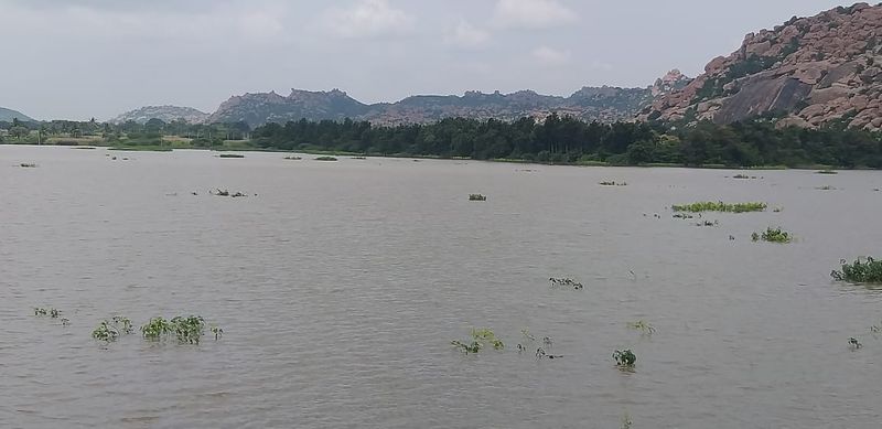 MLA Paranna Munavalli Offers Baagina to Mukkumpa Lake in Gangavatigrg