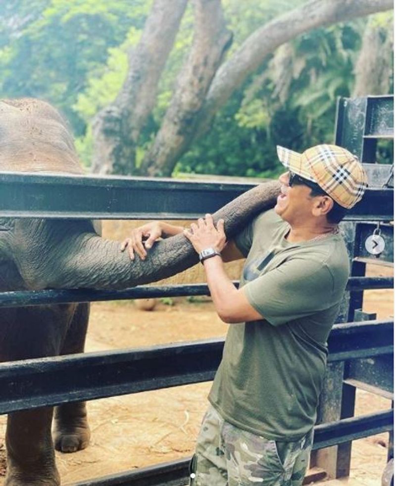 Kannada actor shivarajkumar visit Mysore zoo meets adopted elephant parvathi vcs