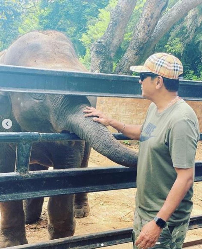 Kannada actor shivarajkumar visit Mysore zoo meets adopted elephant parvathi vcs