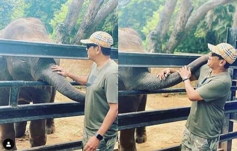 Kannada actor shivarajkumar visit Mysore zoo meets adopted elephant parvathi vcs