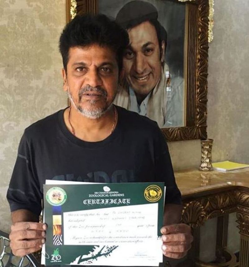 Kannada actor shivarajkumar visit Mysore zoo meets adopted elephant parvathi vcs
