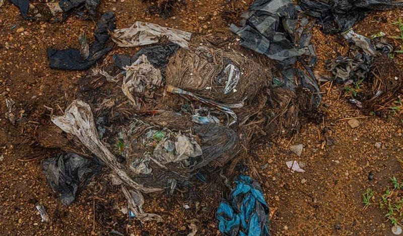 जंगली जानवरों के मलमूत्र में बड़ी मात्रा में प्लास्टिक पाए गए हैं। हाथी के पोस्टमॉर्टम में उनके पेट में प्लास्टिक उत्पादों और गैर-पाचक पॉलीथिन को दिखाया गया है।
