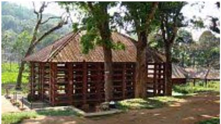 elephant died in konni reserve elephant died in konni reserve